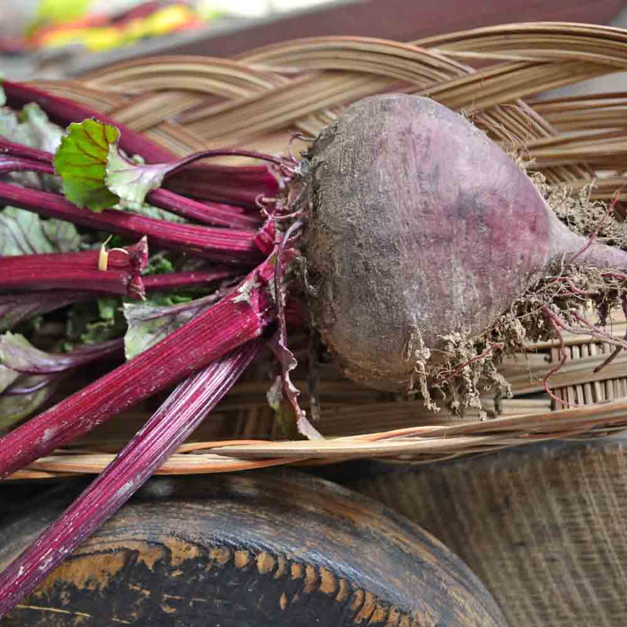 Heirloom Bull's Blood Beet Seeds