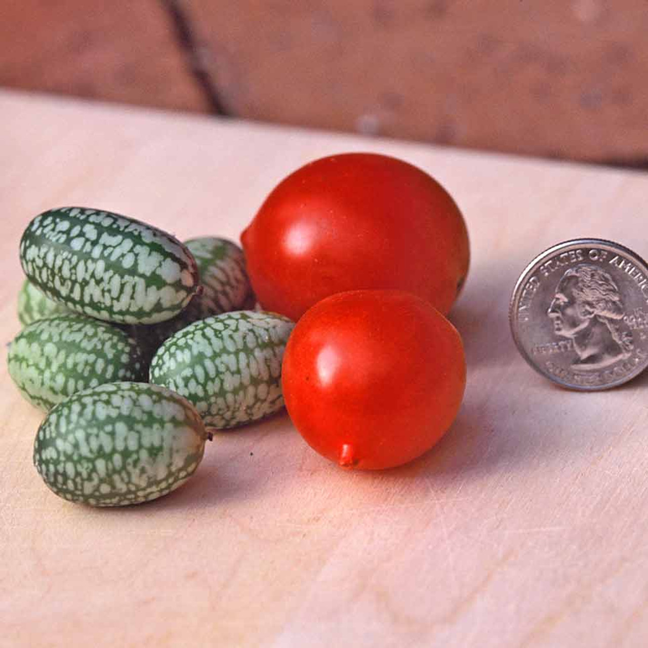 NO-GMO Lot de 50 graines de melon de souris mexicain, pastèque miniature,  cucamelon, graines de jardin