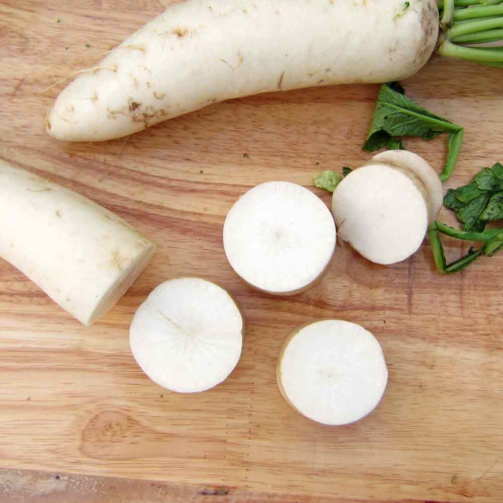 Japanese Minowase (Daikon) Heirloom Radish Seeds | Terroir Seeds