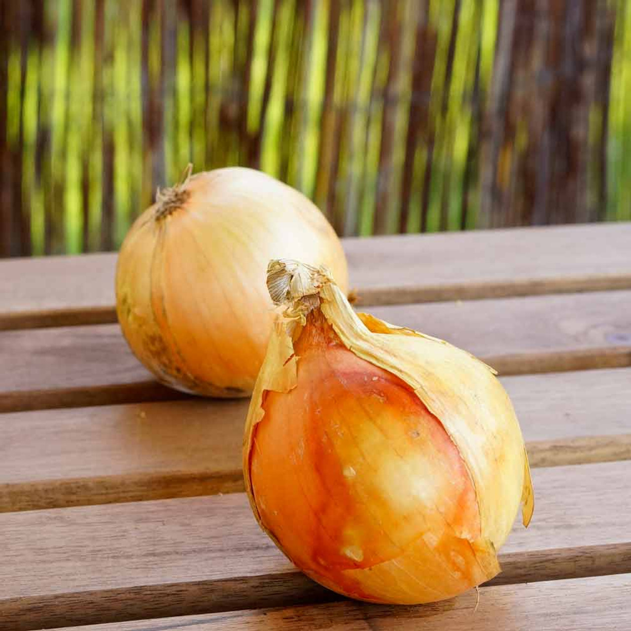 Onion Links Credit Card