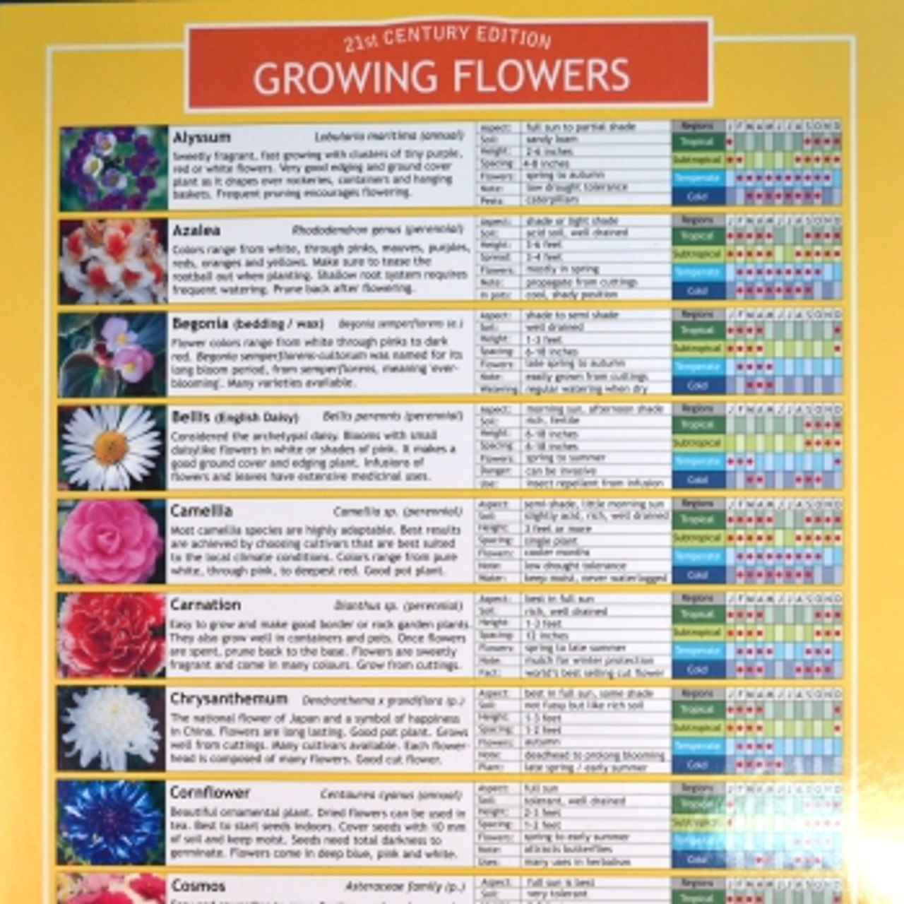 Flower Species Chart