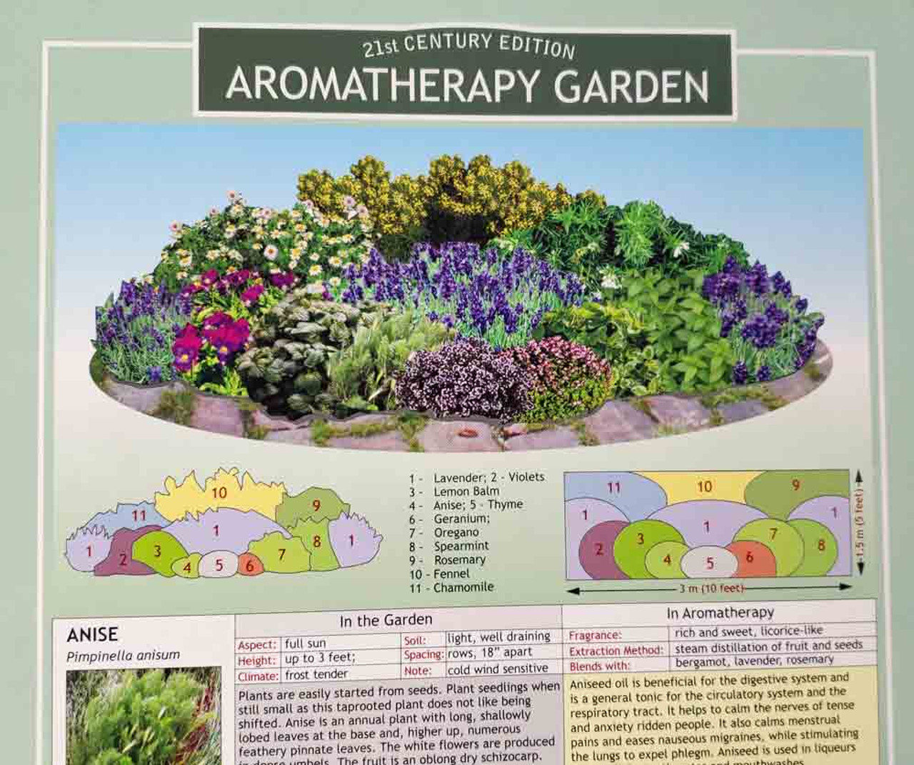 Aromatherapy Chart