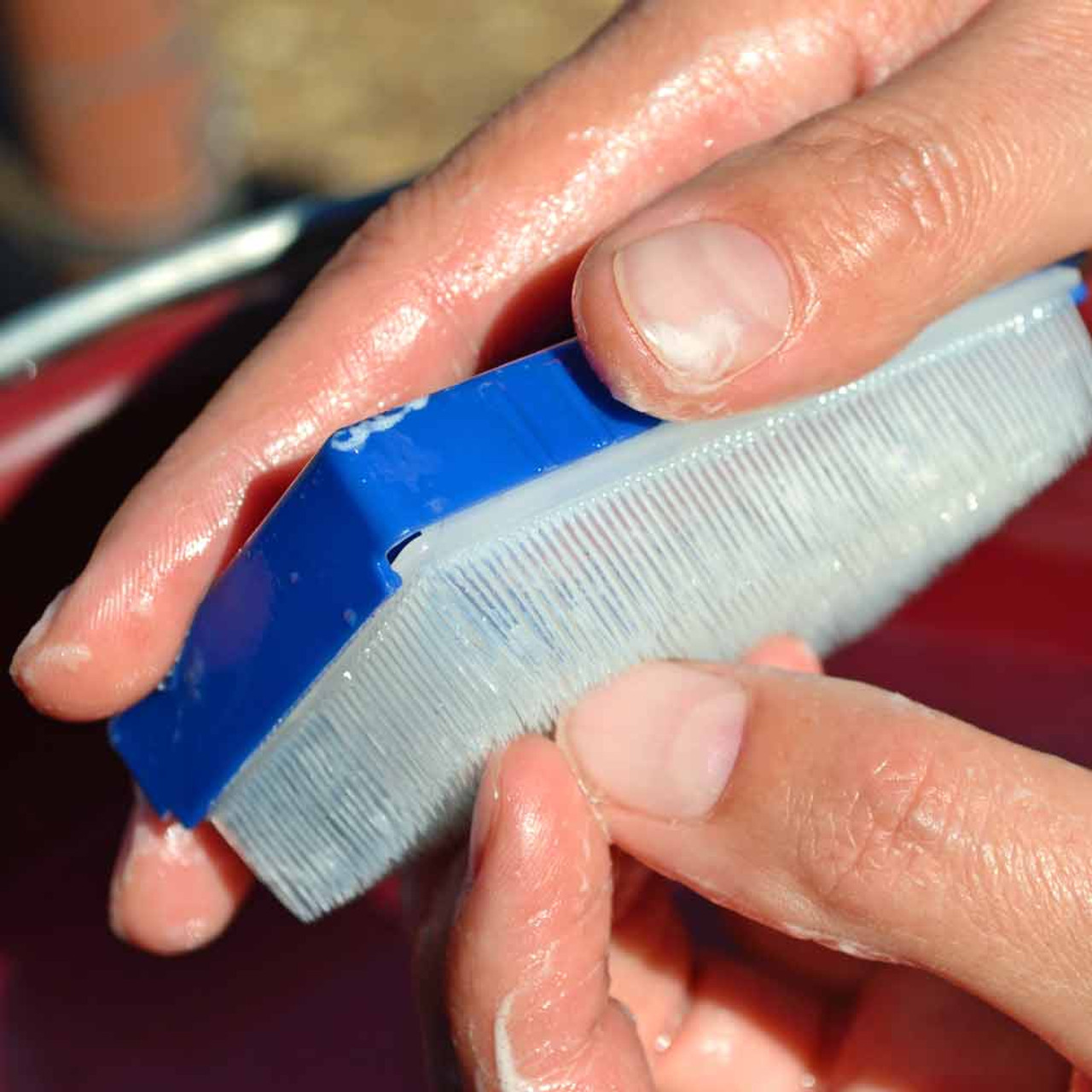 Gardeners Favorite Nail Brush Terroir Seeds Gardeners Favorite Nail Brush Terroir Seeds