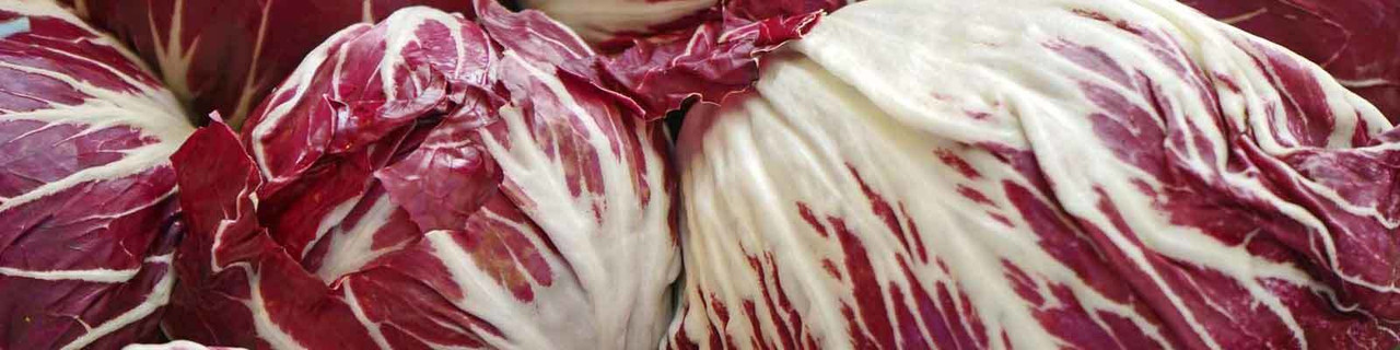 Chicory, Endive, Radicchio Chicory, Endive, Radicchio
