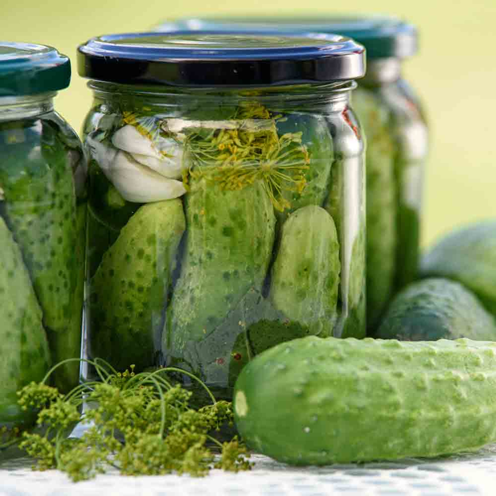 Boston Pickling Heirloom Cucumber Seeds Terroir Seeds