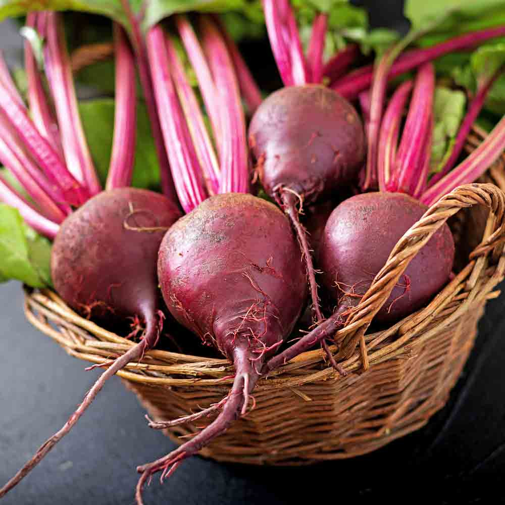 Heirloom Beet Seeds Terroir Seeds