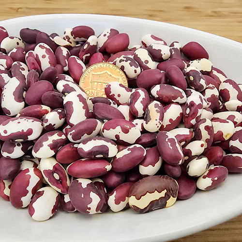 Heirloom Anasazi Bush Bean Seeds - (Phaseolus vulgaris)