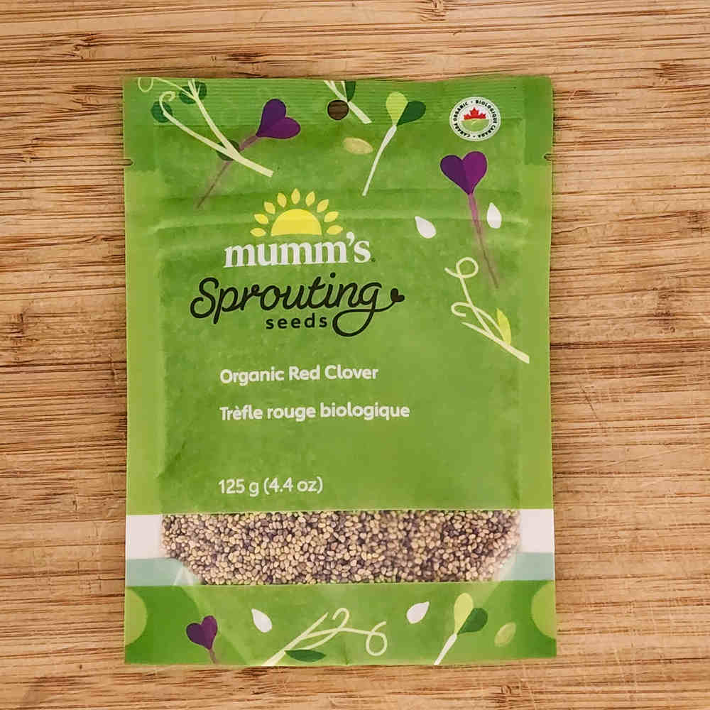 Red Clover Sprouting Seeds | Terroir Seeds