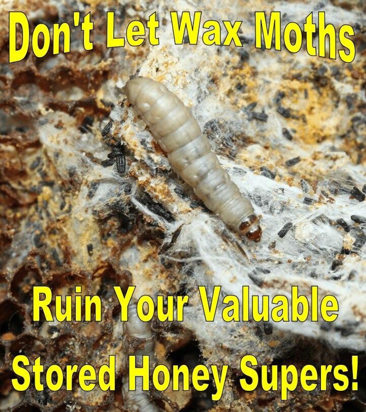Wax Moth Prevention Lappe's Bee Supply & Honey Farm LLC
