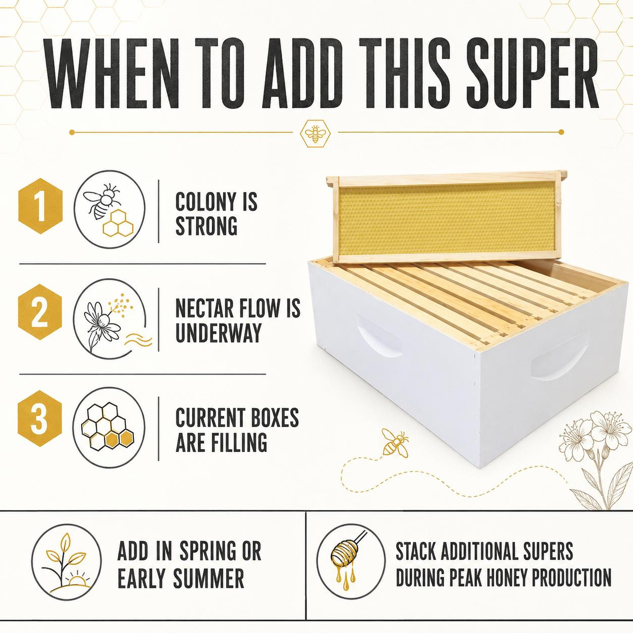8 Frame Medium Honey Super Assembled with Triple Wax Frames