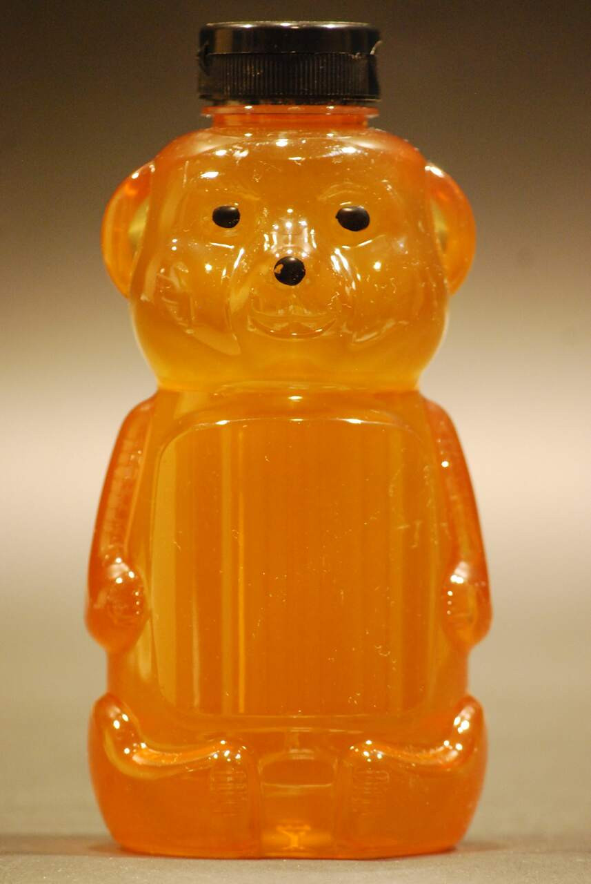 https://cdn11.bigcommerce.com/s-q86nctjasv/images/stencil/1280x1280/products/1445/3245/16-oz-plastic-honey-bear-containers-with-lids-case-of-50-lappesbeesupply__47163.1691037103.jpg?c=1