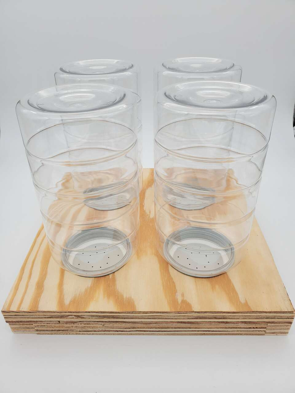 Honeybee Hive Top Feeder With Jars | Lappe's Bee Supply