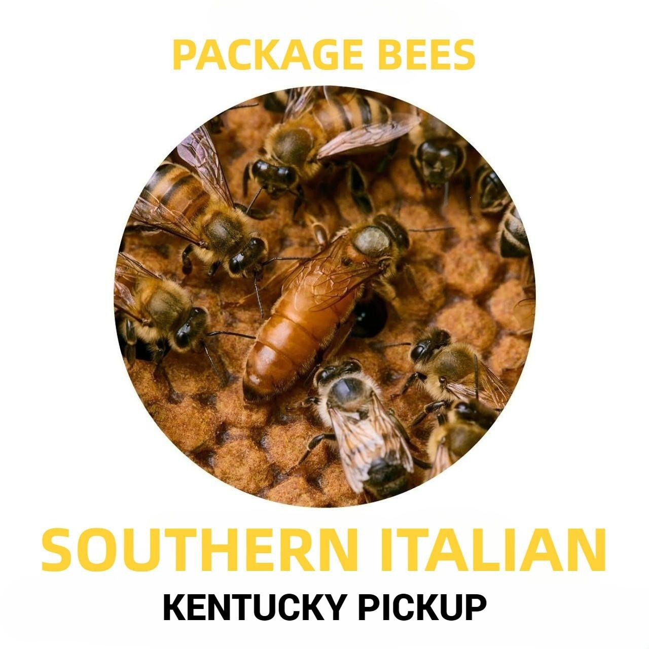 Southern Italian Bees For Sale | Lappe's Bee Supply Honey