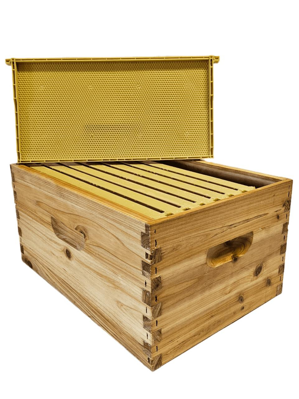 8 Frame Double Wax Dipped Premium Bee Hive Colony Expanding Kit