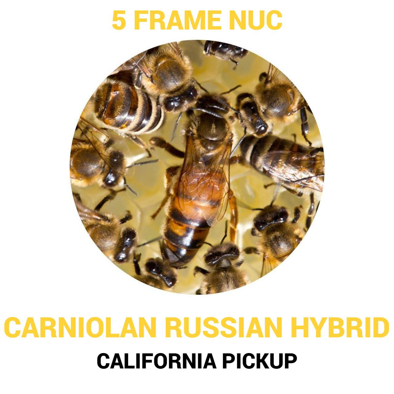 5 Frame Carniolan Russian Hybrid Nuc CA Pickup | Lappe's Bee
