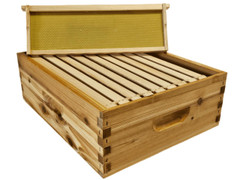 10 Frame Double Wax Dipped Premium Bee Hive Colony Expanding Kit
