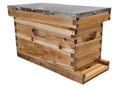 BEEHIVE（蜂の巣）　カイフランク 5-frame-wax-dipped-honey-bee-