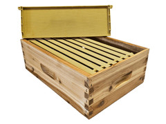 8 Frame Wax Dipped Premium Colony Beehives For Sale | Lappe's Bee