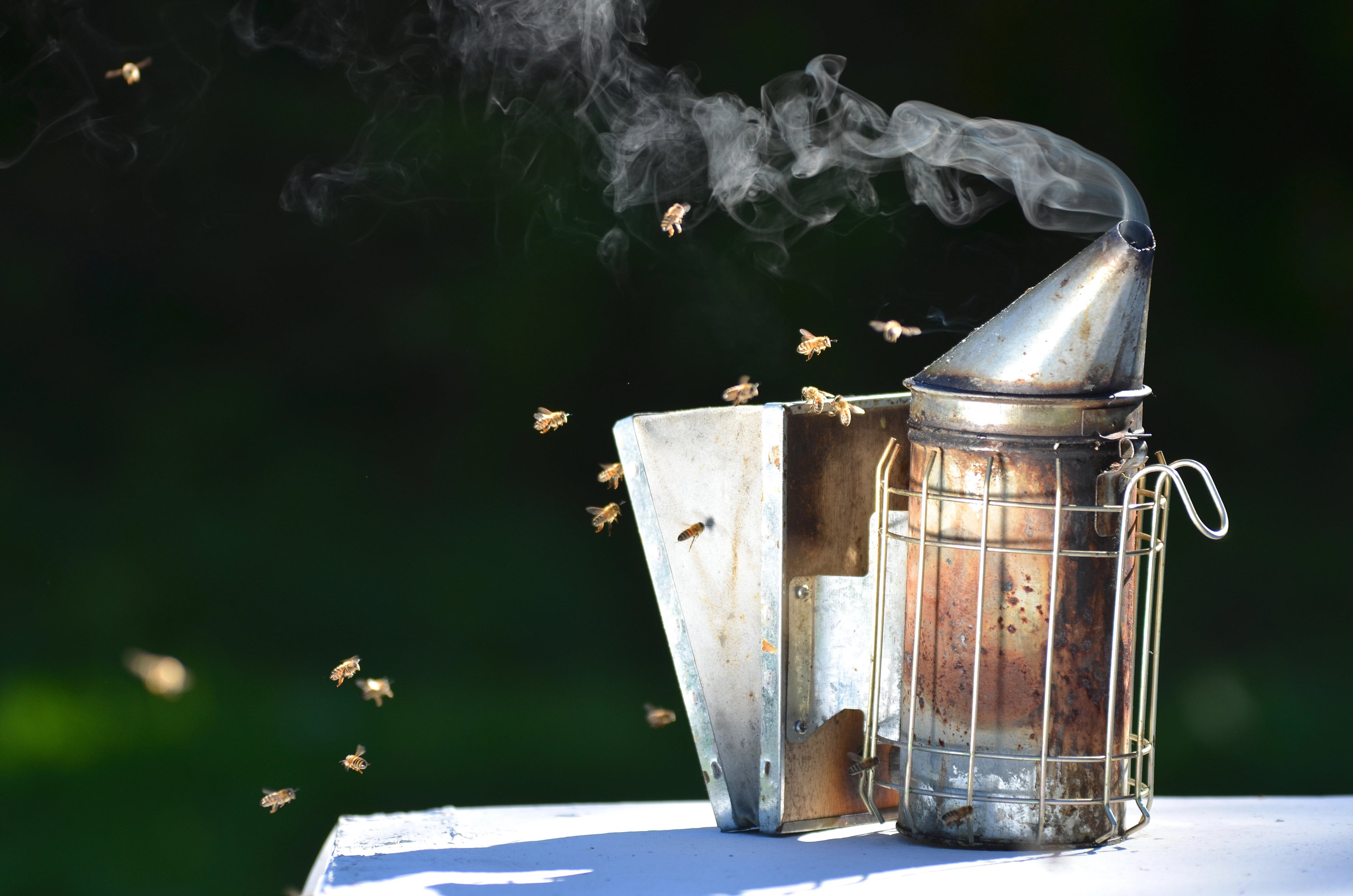 Lappe's Honey Bee Supply | Beekeeping Company USA Shipping