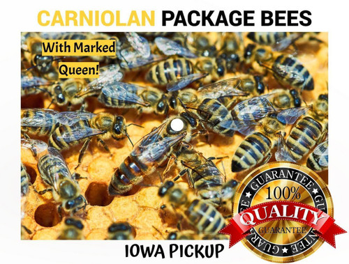 2026 - 3 lb. Package Honey Bees with Marked Carniolan Queen - Iowa Pickup  Lappe's Bee Supply