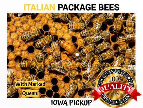 2026 - 3 lb. Package Honey Bees with Italian Hybrid (Gentle Breed) Queen - Iowa Pickup  Lappe's Bee Supply