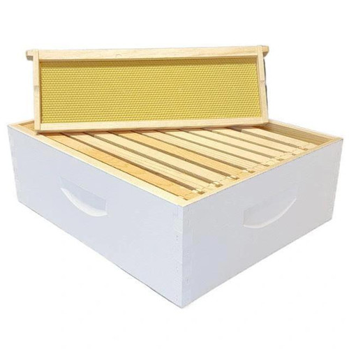 8 Frame Medium Honey Super Assembled with Triple Wax Frames
