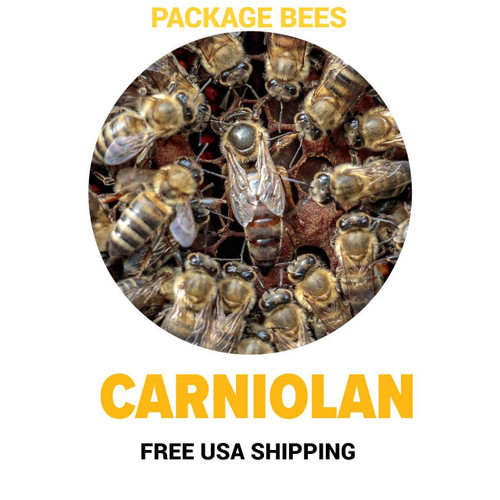 California Russian Carniolan Bees For Sale Free Shipping | Lappe's