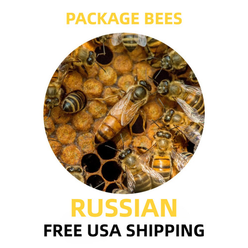 Purebred Russian Package Honey Bees - Free Shipping  