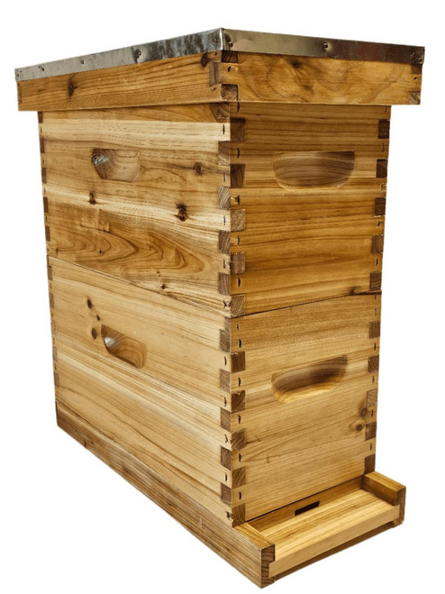 5 Frame Wax Dipped 2 Story Langstroth Honey Bee Hive  Lappe's Bee Supply