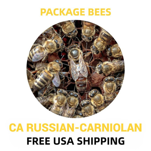 California Russian Carniolan Bees For Sale Free Shipping | Lappe's