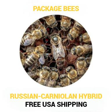 Russian Hybrid Package Bees For Sale | Lappe's Bee Supply Honey