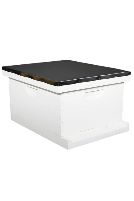 8 Frame New Colony Bee Hives | Honey Bee Swarm | Beehive Kit