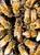 2027 Italian Hybrid (Gentle Breed) Queen Bee - Buy 3 or more get Free UPS Next Day Shipping