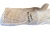 Goatskin Beekeeping Gloves with Ventilated Sleeves  Lappe's Bee Supply