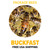 Buckfast Package Honey Bees - Free Shipping  
Free USA Shipping Saskatraz Package Bees AL AZ AR CA CO CT DE PA FL GA ID IL IN IA KS RI SC KY LA ME MD MA MI MN SD MS MO MT NE NV NH NJ TN TX NM NY NC ND OH OK OR UT VT VA WA WV WI WY