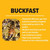 Buckfast Package Honey Bees - Free Shipping  