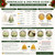 3D Christmas Tree Silicone Candle Mold – Holiday Beeswax, Soy Wax & Resin Mold  Lappe's Bee Supply