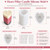 Heart Pillar Candle Silicone Mold – Valentine's Day, Beeswax & Soy Wax Candle Mold  Lappe's Bee Supply