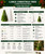 Large Christmas Tree Candle Silicone Mold – Snow-Covered Evergreen Holiday Candle Mold  Lappe's Bee Supply