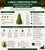 Large Christmas Tree Candle Silicone Mold – Snow-Covered Evergreen Holiday Candle Mold  Lappe's Bee Supply