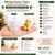 Sitting Santa Claus Candle Silicone Mold – Christmas Santa Figure Candle Mold  Lappe's Bee Supply