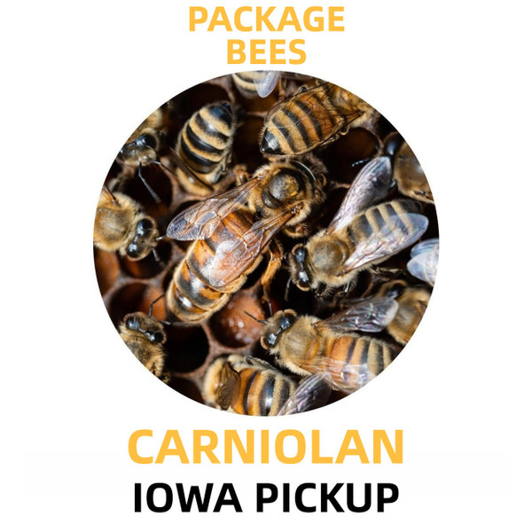 2024 - 3 lb. Package Honey Bees with Carniolan Queen - Iowa Pickup  Lappe's Bee Supply