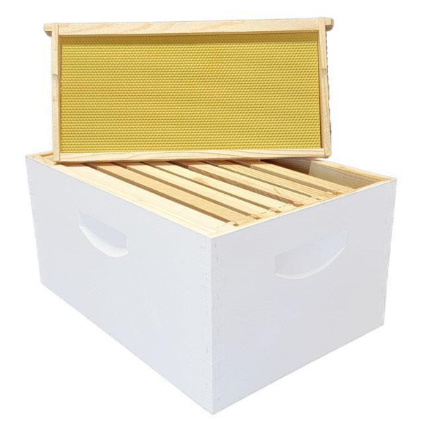 8 Frame 9-5/8" Deep Hive Body – Assembled, Painted, with 8 Wax-Coated Frames  Lappe's Bee Supply