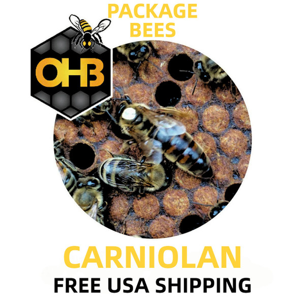 OHB Carniolan Package Honey Bees - Free Shipping  