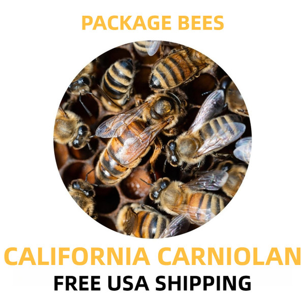 California Carniolan Package Honey Bees - Free Shipping  