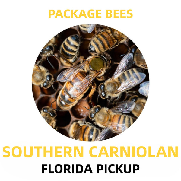 Southern Carniolan Package Honey Bees - Florida Pickup  