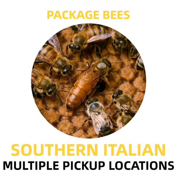 Southern Italian Package Honey Bees - Multiple Pickup Locations  