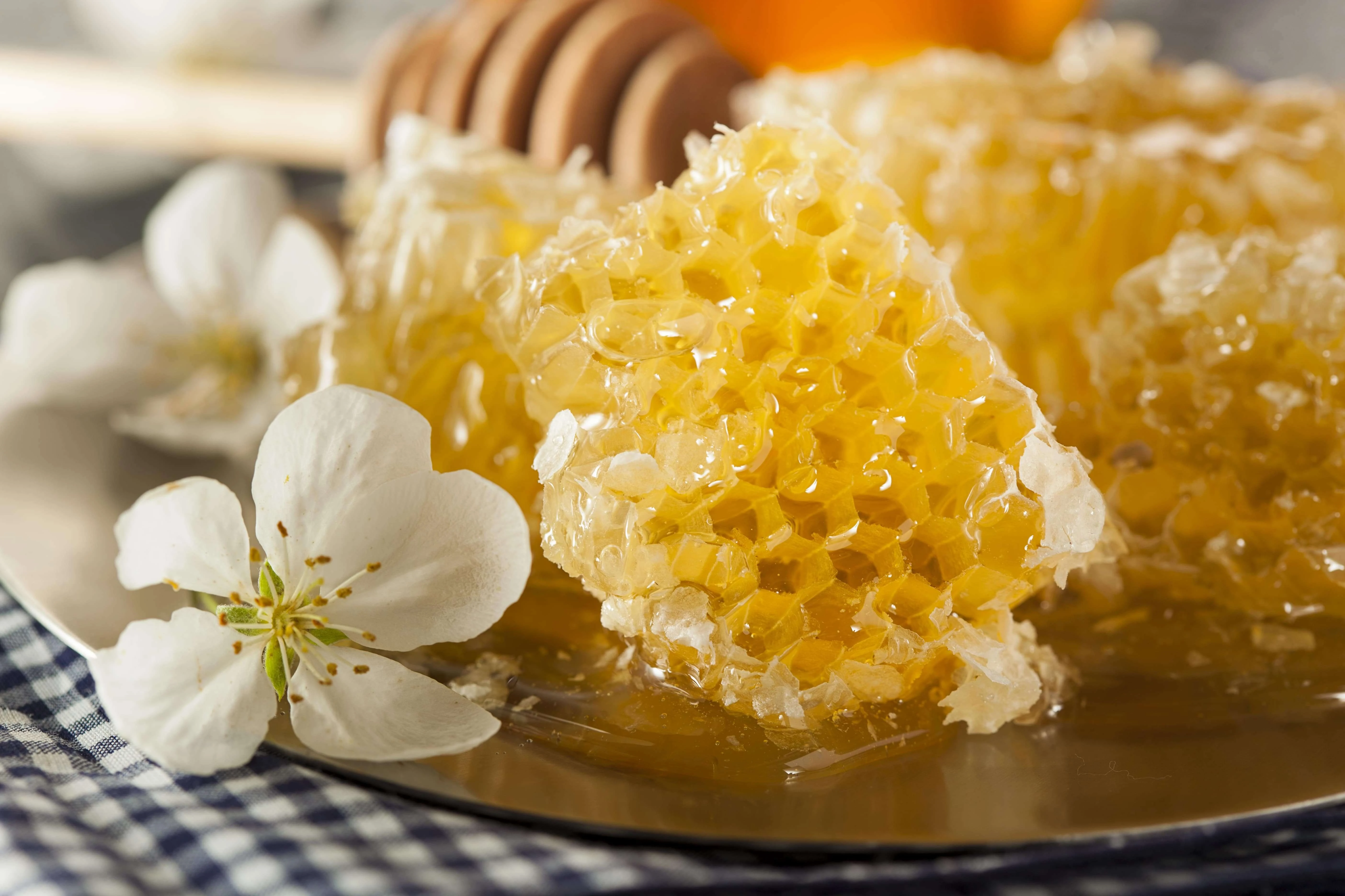 montana-beekeeping-supplies-for-sale.jpg We ship to beekeepers in the following beekeeping cities near me in the state of listings for queen honey bees supply results for beekeeping honeybee supplies for sale free shipping most orders over $100 around the United States: Absarokee │Agency │Alberton │Alder │Amsterdam-Churchill │Anaconda-Deer Lodge County │Antelope │Arlee │Ashland │Augusta │Avon │Azure │Bainville │Baker │Ballantine │Basin │Bearcreek │Beaver Creek │Belfry │Belgrade │Belt │Big Arm │Bigfork │Big Sandy │Big Sky │Big Timber │Billings │Birney │Black Eagle │Boneau │Bonner-West Riverside │Boulder │Box Elder │Bozeman │Bridger │Broadus │Broadview │Brockton │Browning │Busby │Butte-Silver Bow (balance) │Camp Three │Cardwell │Carter │Cascade │Charlo │Chester │Chinook │Choteau │Circle │Clancy │Clinton │Clyde Park │Colstrip │Columbia Falls │Columbus │Conrad │Cooke City-Silver Gate │Coram │Corvallis │Crow Agency │Culbertson │Custer │Cut Bank │Darby │Dayton │De Borgia │Deer Lodge │Denton │Dillon │Dixon │Dodson │Drummond │Dutton │East Glacier Park Village │East Helena │East Missoula │Ekalaka │Elliston │Elmo │Ennis │Eureka │Evaro │Evergreen │Fairfield │Fairview │Fallon │Finley Point │Flaxville │Florence │Forsyth │Fort Belknap Agency │Fort Benton │Fortine │Fort Peck │Fort Shaw │Fort Smith │Four Corners │Fox Lake │Frazer │Frenchtown │Froid │Fromberg │Gardiner │Garrison │Geraldine │Gildford │Glasgow │Glendive │Grass Range │Great Falls │Greycliff │Hamilton │Hardin │Harlem │Harlowton │Harrison │Havre │Havre North │Hays │Heart Butte │Helena │Helena Valley Northeast │Helena Valley Northwest │Helena Valley Southeast │Helena Valley West Central │Helena West Side │Heron │Herron │Highwood │Hingham │Hobson │Hot Springs │Hungry Horse │Huntley │Hysham │Inverness │Ismay │Jefferson City │Jette │Joliet │Joplin │Jordan │Judith Gap │Kalispell │Kerr │Kevin │Kicking Horse │Kings Point │Klein │Knife River │Kremlin │Lakeside │Lame Deer │Laurel │Lavina │Lewistown │Lewistown Heights │Libby │Lima │Lincoln │Livingston │Lockwood │Lodge Grass │Lodge Pole │Lolo │Loma │Lonepine │Malmstrom AFB │Malta │Manhattan │Martin City │Medicine Lake │Melstone │Miles City │Missoula │Montana City │Moore │Muddy │Musselshell │Nashua │Neihart │Niarada │North Browning │Noxon │Old Agency │Opheim │Orchard Homes │Outlook │Ovando │Pablo │Paradise │Park City │Parker School │Philipsburg │Pinesdale │Plains │Plentywood │Plevna │Polson │Poplar │Power │Pryor │Radersburg │Ravalli │Red Lodge │Reed Point │Reserve │Rexford │Richey │Riverbend │Rocky Point │Rollins │Ronan │Roundup │Rudyard │Ryegate │Saco │Saddle Butte │St. Ignatius │St. Marie │St. Pierre │St. Regis │St. Xavier │Sangrey │Scobey │Seeley Lake │Shelby │Shepherd │Sheridan │Sidney │Simms │Somers │South Browning │Stanford │Starr School │Stevensville │Sunburst │Sun Prairie │Sun River │Superior │Terry │Thompson Falls │Three Forks │Toston │Townsend │Trout Creek │Troy │Turtle Lake │Twin Bridges │Ulm │Valier │Vaughn │Victor │Virginia City │Walkerville │Westby │West Glendive │West Havre │West Yellowstone │Whitefish │Whitehall │White Sulphur Springs │Wibaux │Willow Creek │Wilsall │Winifred │Winnett │Winston │Wisdom │Wolf Point │Woods Bay │Worden │Wye │Wyola