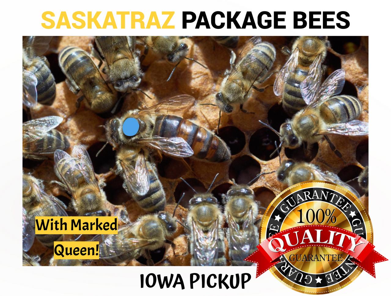 honey bee kingⅡ russian-hybrid-package-honey-