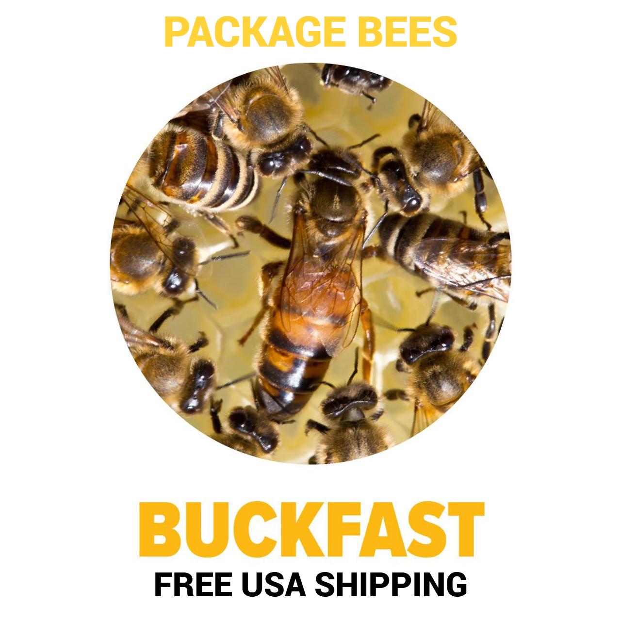 Buckfast Package Bees For Sale Free Shipping | Lappe's Bee Supply